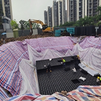 越秀臻悅府一期B地塊園建綠化工程